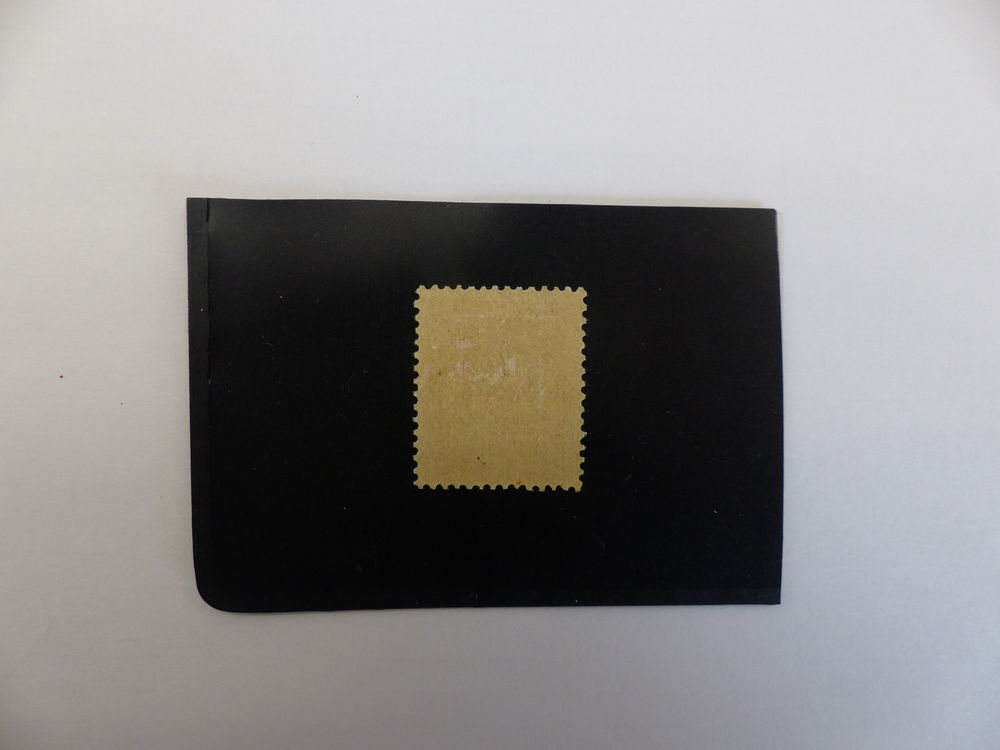 TIMBRE MOUCHON 117 NEUF ** COTE 35 € 