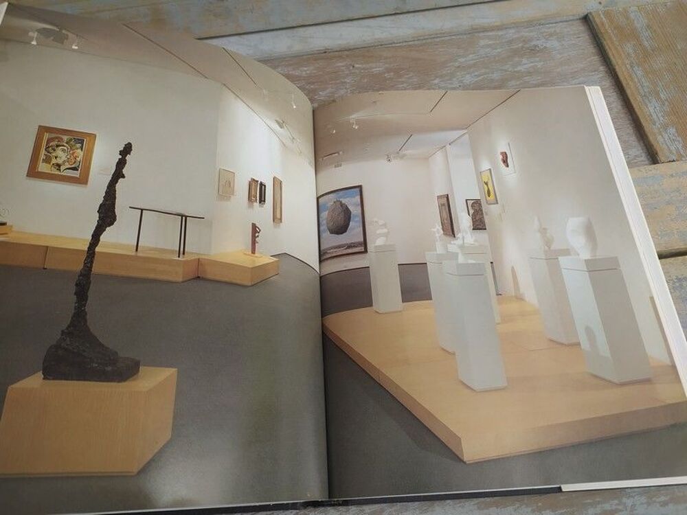 Livre Le Mus&eacute;e d'Isra&euml;l Somogy &Eacute;ditions d'Art Livres et BD