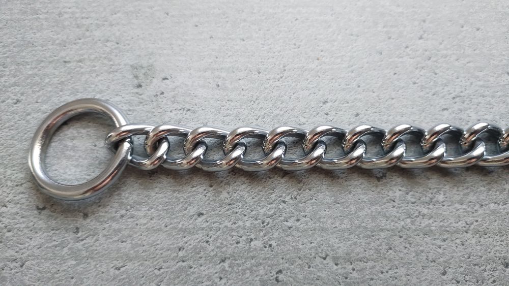 Collier Cha&icirc;ne en M&eacute;tal pour Chien en Acier Inoxydable 2-en1 Sports