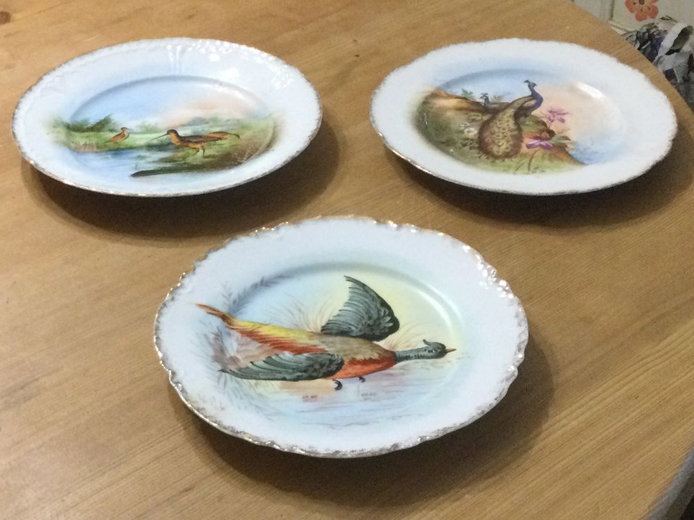 Assiettes d&eacute;coratives en porcelaine motif oiseaux Décoration