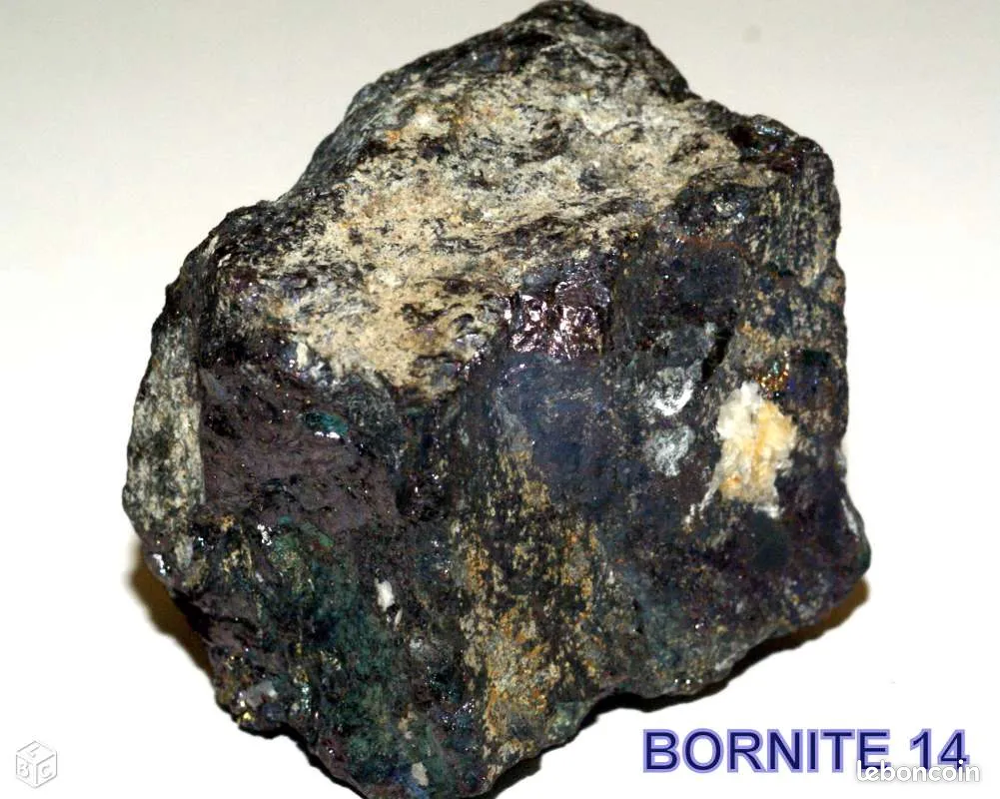 BORNITE 14 : Min&eacute;raux de collection 