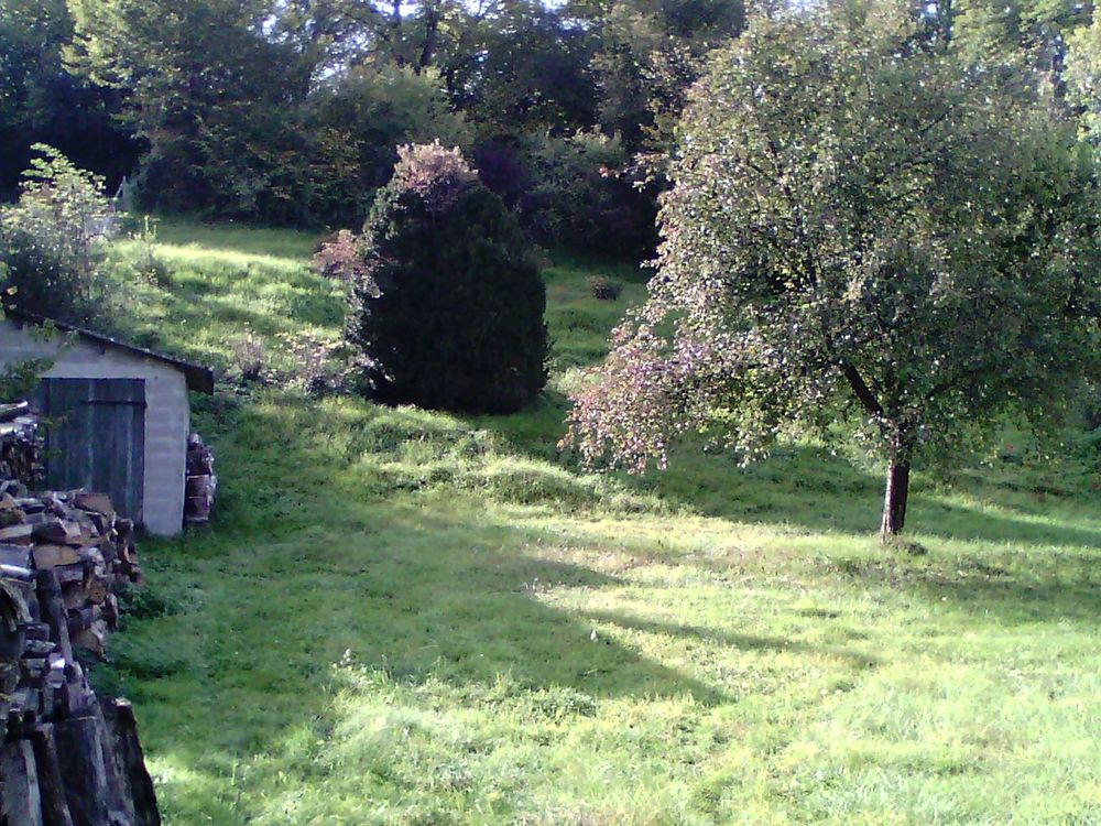 Vente Terrain Terrain constructible  Trémont Trémont-sur-saulx
