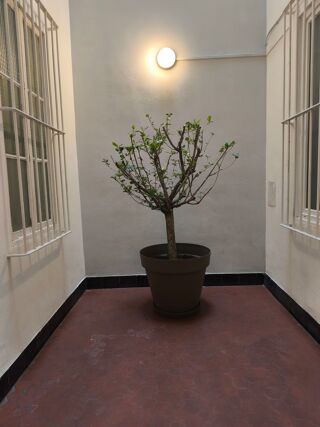  Appartement � vendre 2 pi�ces 53 m�