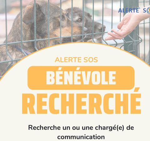 ALERTE-SOS RECHERCHE  BÉNÉVOLE POUR COMUNICATION 0 75018 Paris