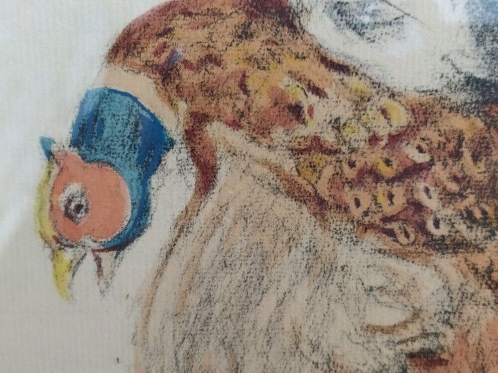 Tableau Lithographie Vincent-Anglade Chien &Eacute;pagneul Setter 
