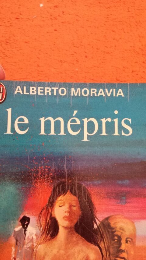 LIVRE LE MEPRIS 3 Triel-sur-Seine (78)