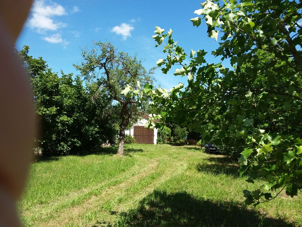 Vente Terrain DERNIER GRAND TERRAIN++ CONSTRUCTIBLE VIABILISÉ SUR CHABRIS Chabris