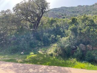  Terrain � vendre 1275 m�