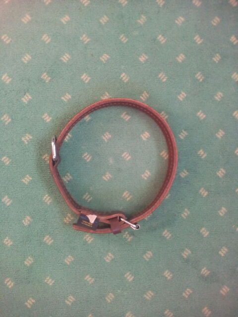 Collier Chien / Chiot T2 
