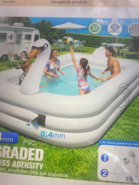 Piscine cygne lumineuse solaire cause double emplois. 45 Saint-Alban-de-Roche (38)