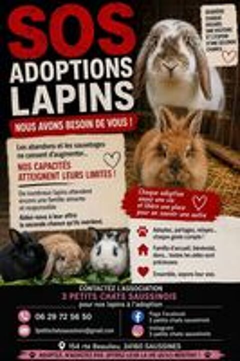   Recherche adoptants 