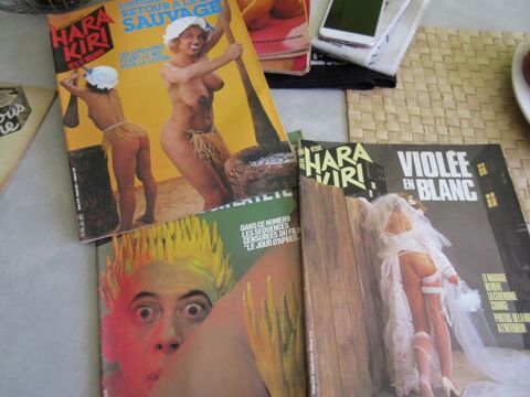 Revues HARA KIRI Ann�e 1984 30 Jury (57)