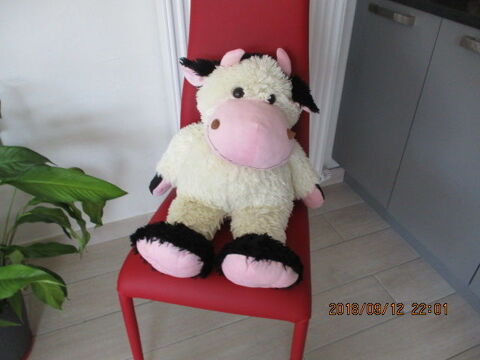 Peluche 8 Castres (81)