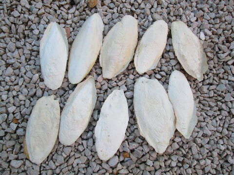 OS DE SEICHE 10 13009 Marseille