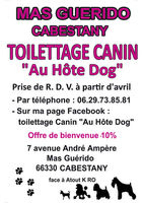   toilettage canin 