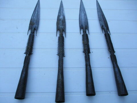 lances africaine 300 Castres (81)