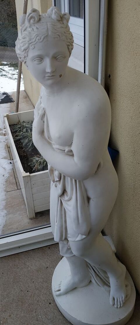 venus 50 Saint-Vincent-de-Reins (69)