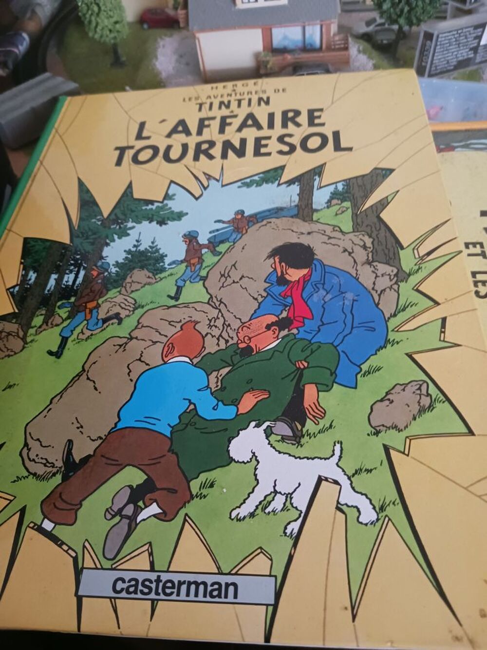 Tintin Livres et BD