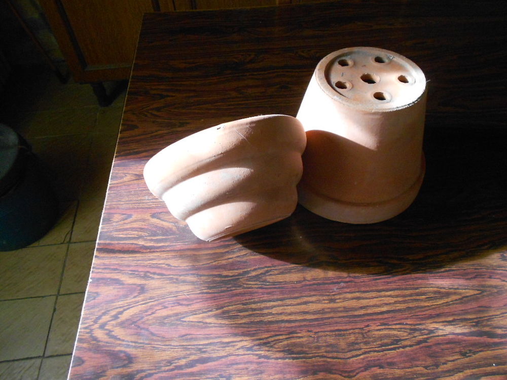 2 POTS EN TERRE CUITE Jardin