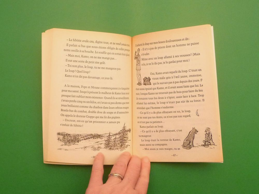 L'Evasion de Kamo- Daniel Pennac- Gallimard Jeunesse- Folio Livres et BD