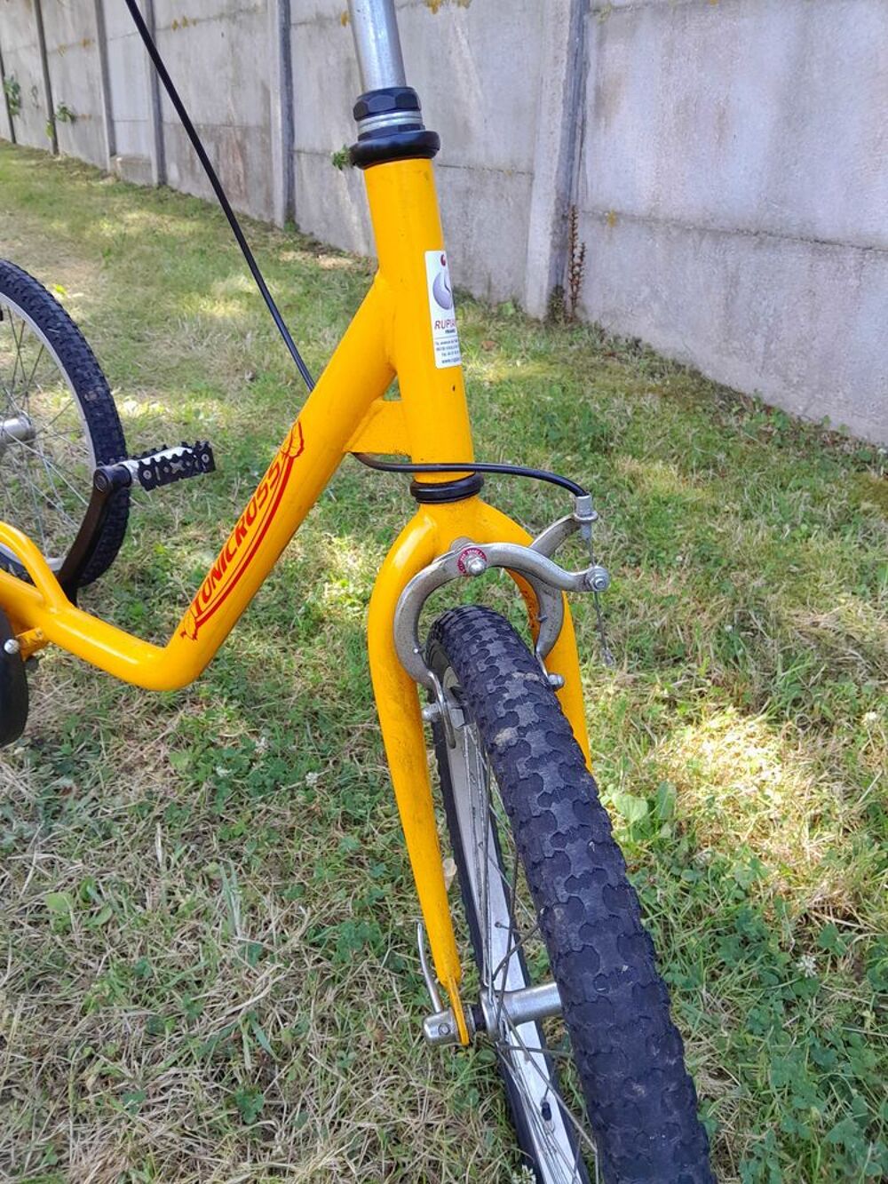Tricycle adulte Sports