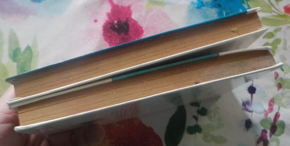 2 BIBLIO ROSE LA BELLE AU BOIS DORMANT L'APPRENTIE SORCIERE Livres et BD