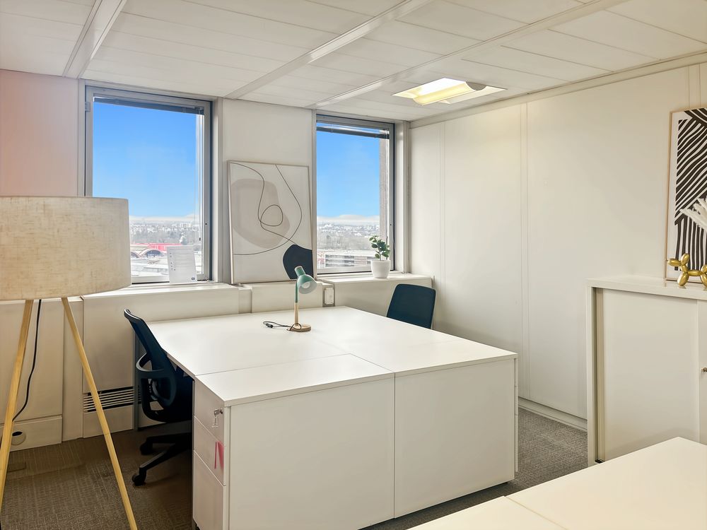   Espace de bureau privé personnalisé en fonction des besoins uniques de votre entreprise à Strasbourg Tour Europe 