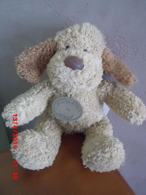 CHIEN MARRON HISTOIRE D OURS 16 Oignies (62)
