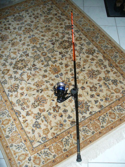 Canne à pêche DAWA  Mega Force  50/250 g. 2.70 m en 2 brins Talmont-Saint-Hilaire (85)