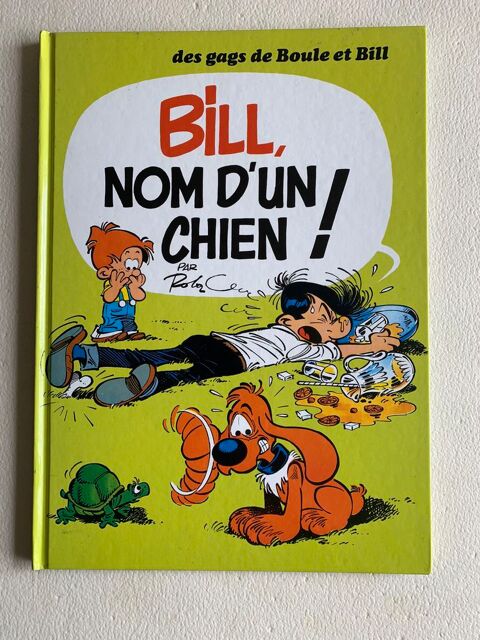 Bd Boule et Bill 10 Arcueil (94)