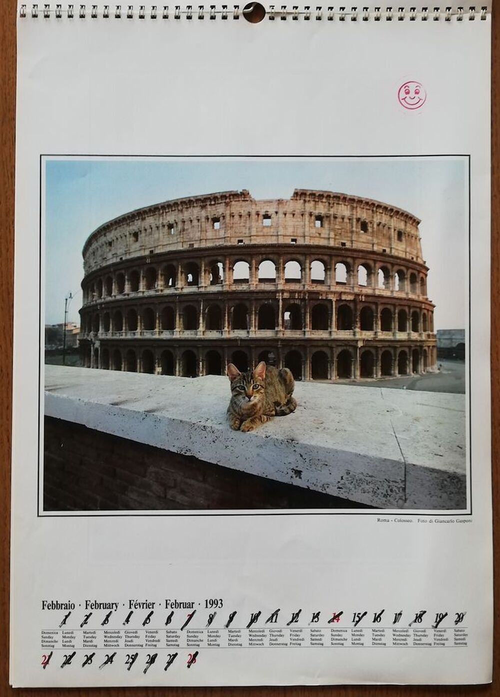 Calendrier "Gatti di Roma" de 1993 (49X35cm) 