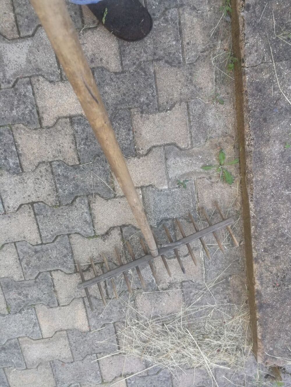 R&acirc;teau en bois Bricolage
