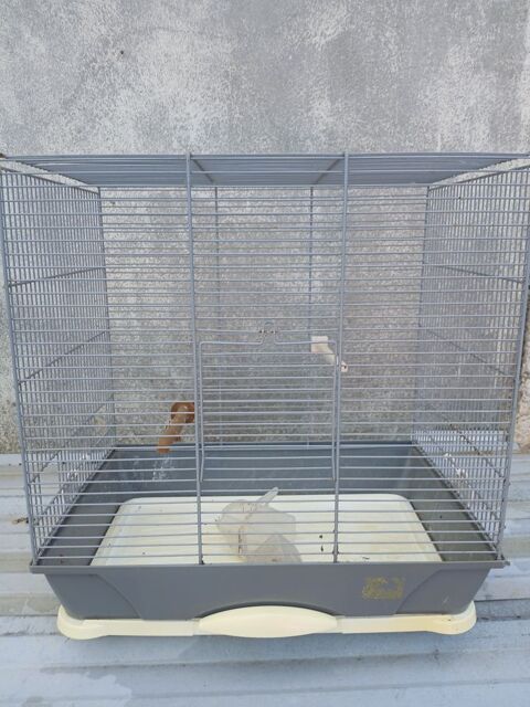 Cage a oiseaux canaris perruche 15 26100 Romans-sur-isère