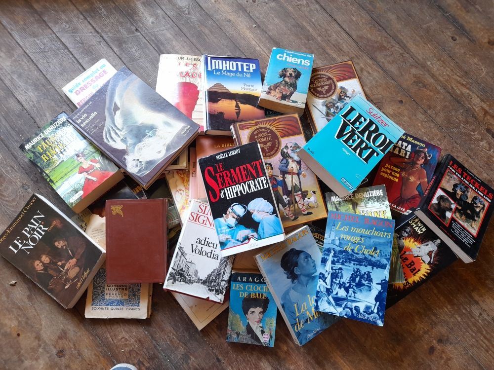 donne 2 cartons de livres divers Livres et BD