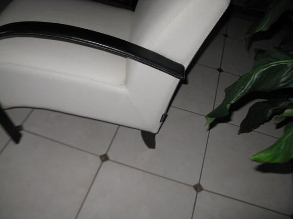 Fauteuils cuir Dcoration