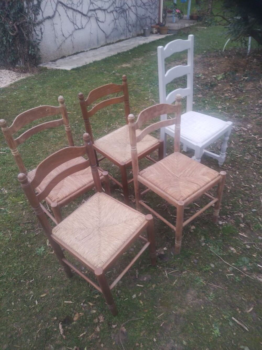 Chaises Meubles