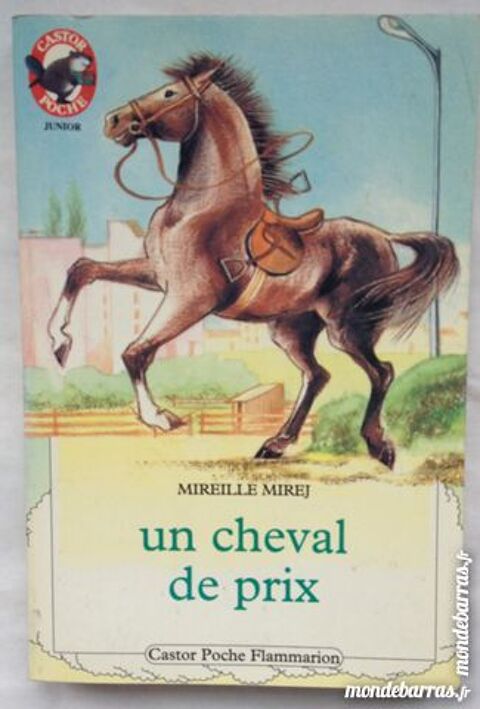 Un cheval de prix 1 Achenheim (67)