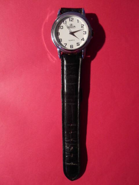 MONTRE HOMME   Anigo   15 Dammarie-les-Lys (77)