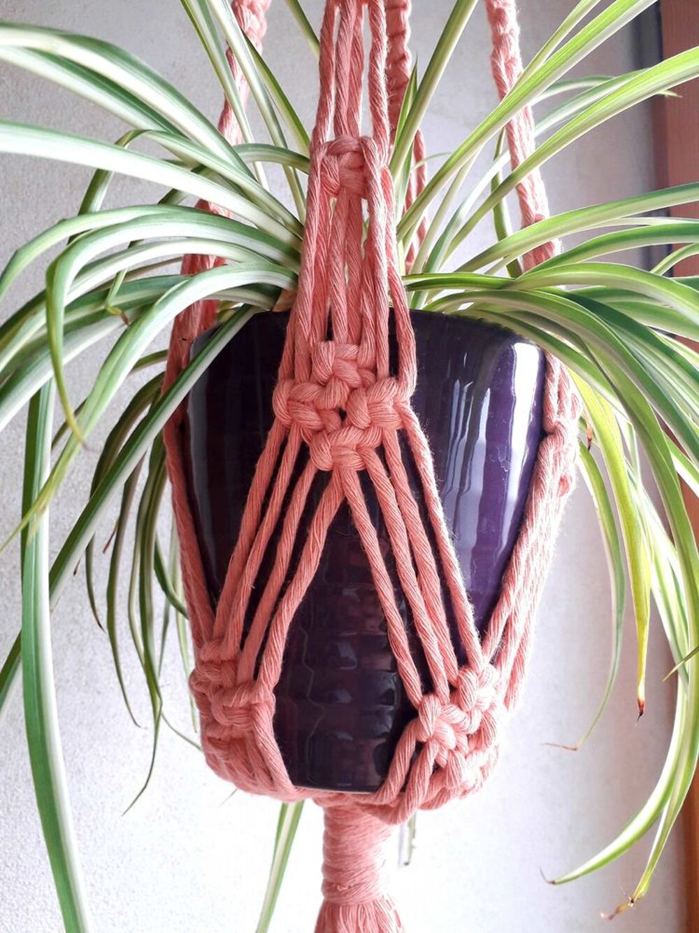 Suspension pour plante Décoration