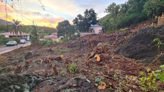  Terrain � vendre 800 m� Terre-de-bas