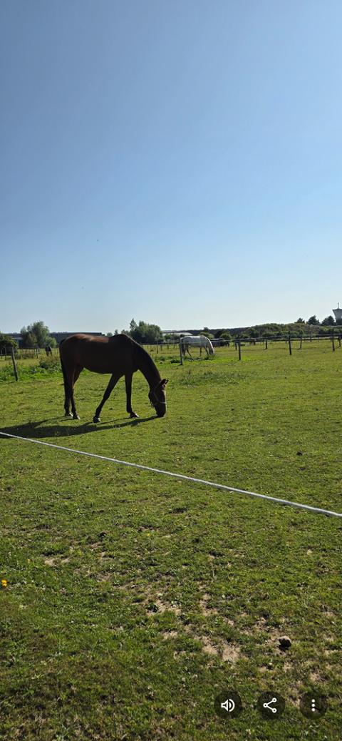 Aide soignante auxiliaire de vie 0 76620 Le havre