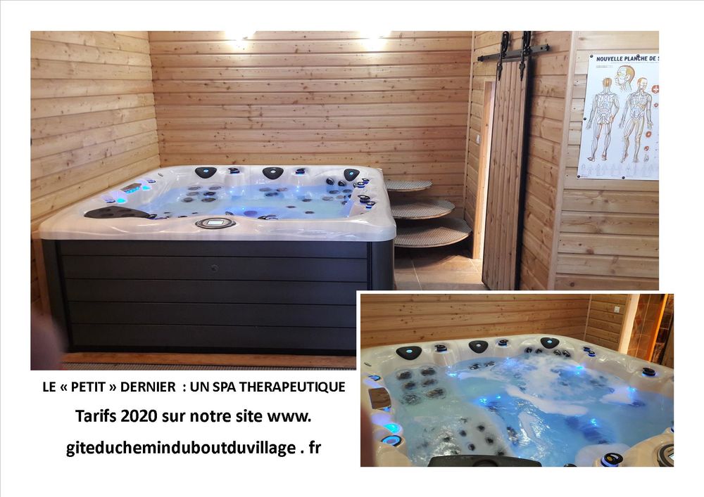 SPA Th&eacute;rapeutique Master SPA LX 800 - 5 places Jardin