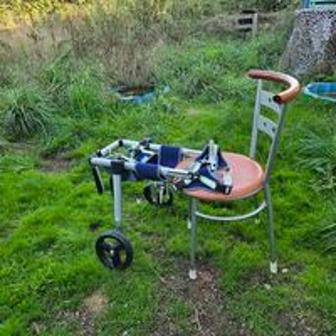   Charrette pour chiens handicapés des pâtes arrière 