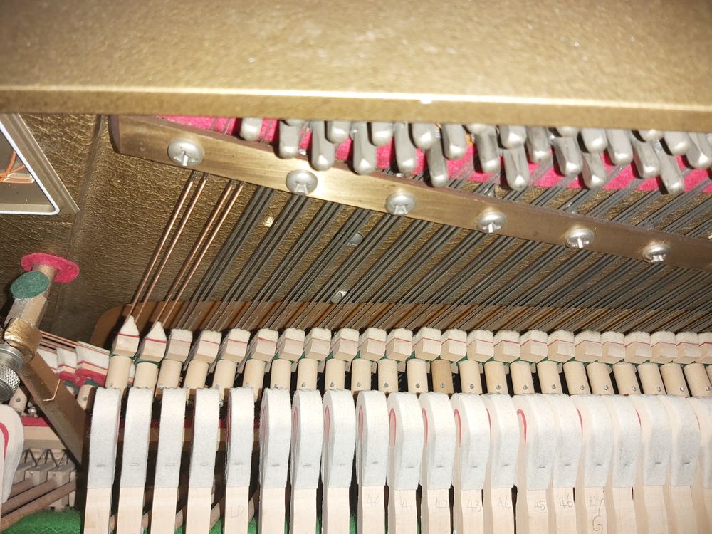 piano Rippen r&eacute;f&eacute;renc&eacute; Instruments de musique