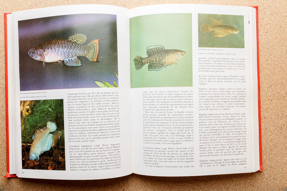 Le grand livre de l'aquarium Livres et BD