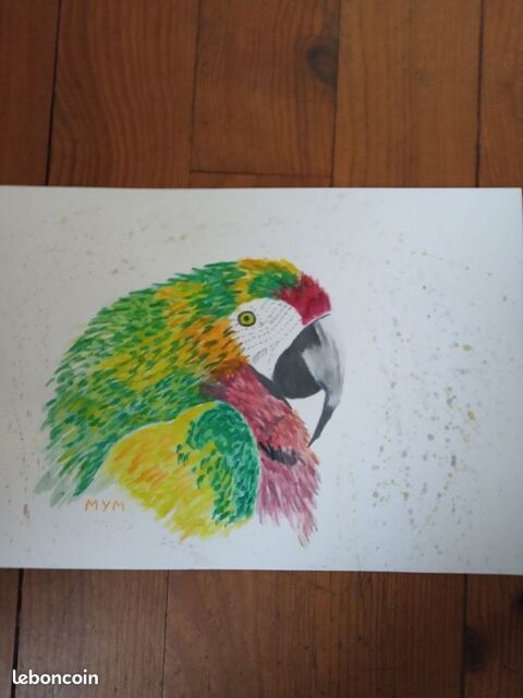 AQUARELLE PERROQUETS 25 Saint-Jean-d'Ang�ly (17)