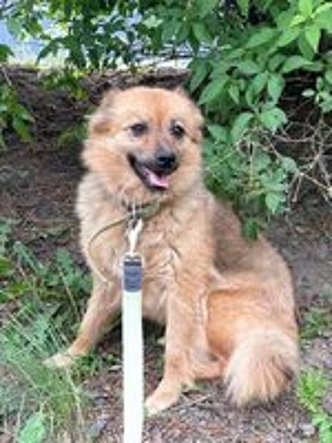   ALICE SE TROUVE DANS UN REFUGE EN UKRAINE 