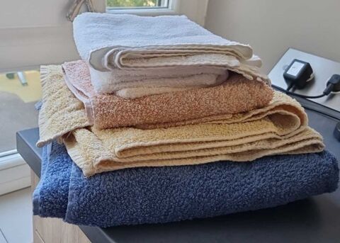 Lot serviette de bain,  draps de bains et gants de toilette 30 Oullins (69)