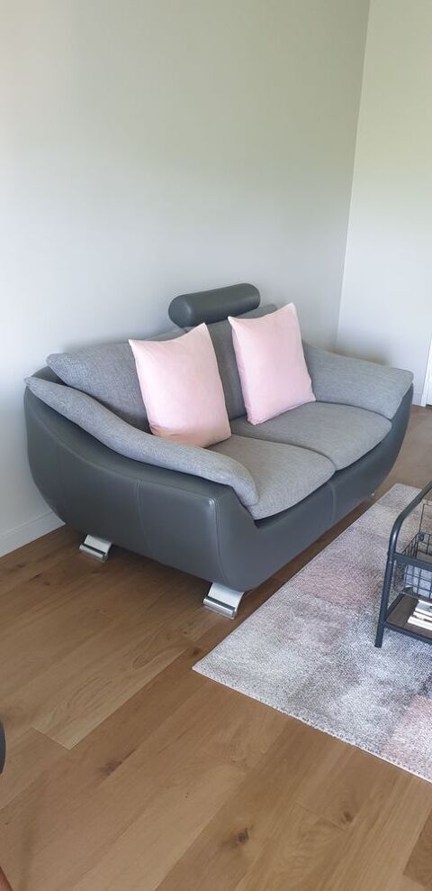 Canap� 2 Places Cuir Tissu La Tronche (38)