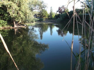  Propriété/château à vendre 3 pièces 4700 m²